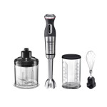 Блендер погружной Bosch MS 8CM6160