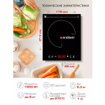 Настольная плита Endever Skyline IP-51