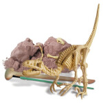 Набор 4M Раскопай скелет Велоцираптор 00-13234