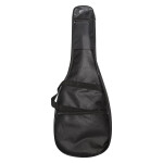 Чехол для гитары Flight FBG-6055