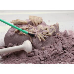 Набор 4M Раскопай скелет Тираннозавр 00-03221