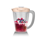 Блендер стационарный Centek CT-1348 Черный