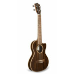 Укулеле Lanikai FB-CETT