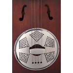 Акустическая гитара James Neligan Cask-Puncheon