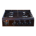 Комбинированная плита Cezaris ПГЭ 1000-13 коричневый