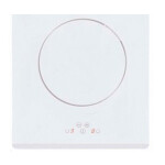 Встраиваемая индукционная варочная панель Cata IB 302 WH