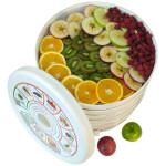 Сушилка для овощей и фруктов Славда DVH37-500/5