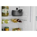 Холодильник Scandilux R711Y02 W