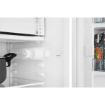 Холодильник Scandilux R 091 W White