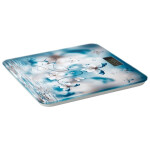 Весы напольные Econ ECO-BS003