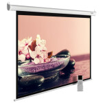 Экран для проектора Cactus MotoExpert CS-PSME-360X270-WT