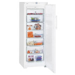 Морозильная камера Liebherr GNP 2756