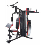 Мультистанция Atemi AGS 4100