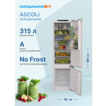 Встраиваемый холодильник Ascoli ADRF310WEBI