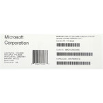 Операционная система Microsoft Windows Svr Std 2022 64bit (P73-08328)