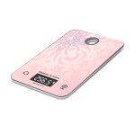 Весы кухонные Zigmund & Shtain DS-112