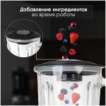 Блендер стационарный Zigmund & Shtain BS-441 D