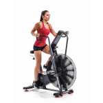 Велотренажер Schwinn Airdyne AD8