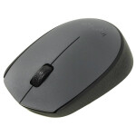 Мышь Logitech M170 черный/серый (910-004642)