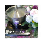 Настольная плита Kitfort КТ-107