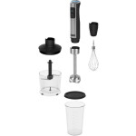 Блендер погружной Rondell RDE-1300