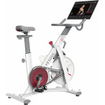 Велотренажер DFC Yesoul BS3-W-21.5