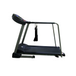 Беговая дорожка DFC Walker EVO T-S1