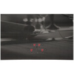 Встраиваемая индукционная варочная панель Zigmund & Shtain CIS 219.60 DX