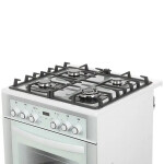 Комбинированная плита Gefest 6502-03 0242