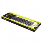 Клавиатура Ritmix RKB-100