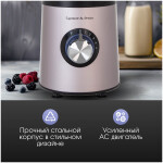Блендер стационарный Zigmund & Shtain BS-441 D