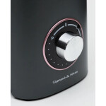 Блендер стационарный Zigmund & Shtain BS-442 D