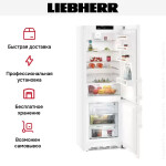 Холодильник Liebherr CN 5735