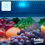 Холодильник Beko RCNK310KC0SB