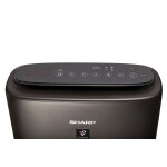 Очиститель воздуха Sharp KIN41RH