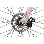 Велосипед Stinger 24AHD.LAGUNAD.12GN2 зеленый