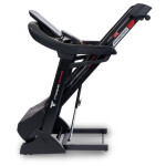 Беговая дорожка Titanium Masters Physiotech TLF