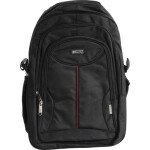 Рюкзак для ноутбука Defender Carbon 15.6 черный (26077)