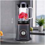 Блендер стационарный Zigmund & Shtain BS-442 D