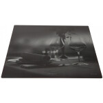 Встраиваемая индукционная варочная панель Zigmund & Shtain CIS 219.60 DX