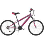 Велосипед Black One Ice Girl 20 фиолетовый/розовый/розовый HQ-0005361