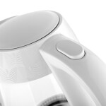 Чайник электрический Brayer BR1024