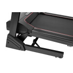 Беговая дорожка Titanium Masters Physiotech TCA