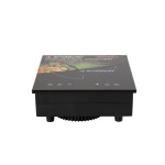 Настольная плита Endever Skyline IP-51