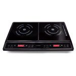 Настольная плита Ginzzu HCI-205