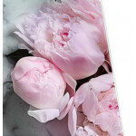 Весы кухонные Delta KCE-63