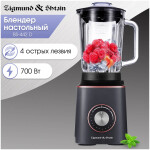 Блендер стационарный Zigmund & Shtain BS-442 D