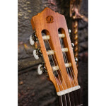 Классическая гитара Perez 600