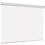 Экран для проектора Lumien Eco Picture LEP-100101