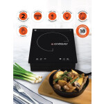 Настольная плита Endever Skyline IP-51